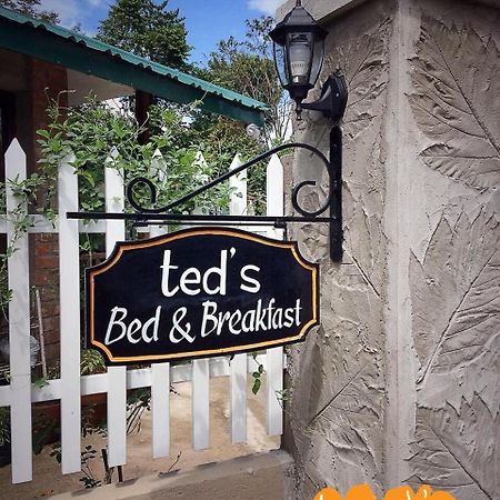Ted'S Bed And Breakfast Santa Cruz  Bagian luar foto
